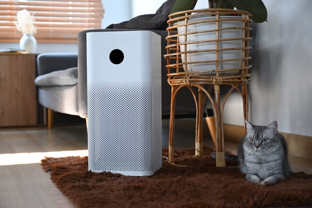 air purifier